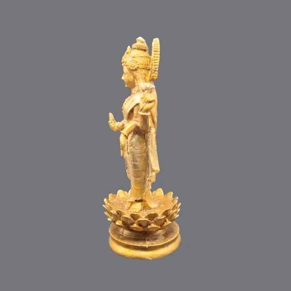 Laksmi (10)